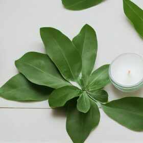 spa treatment items - hot massage stones with salt and oils on marble table.hot stone massage - spa